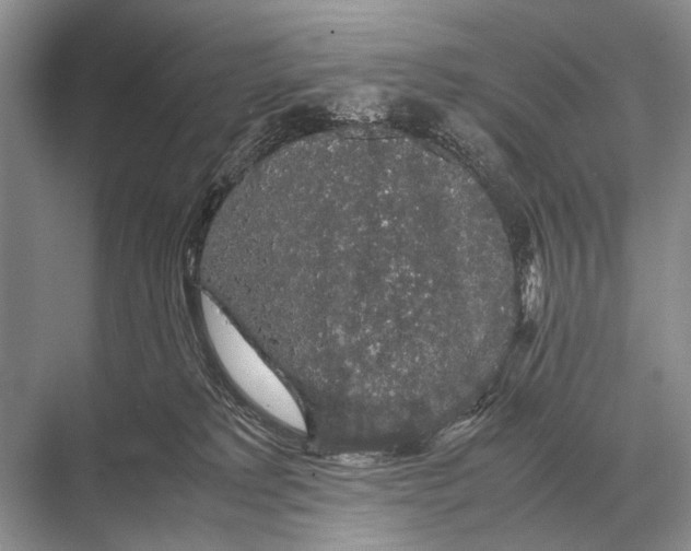 X0000067870229200605041815