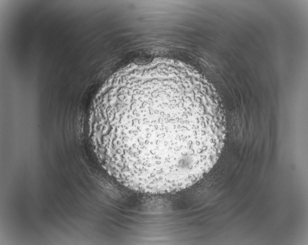 X0000067870230200605041815