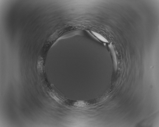 X0000067870231200605041815