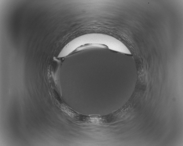 X0000067870233200605041815