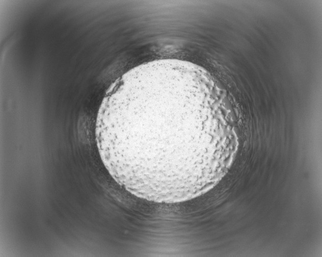 X0000067870234200605041815