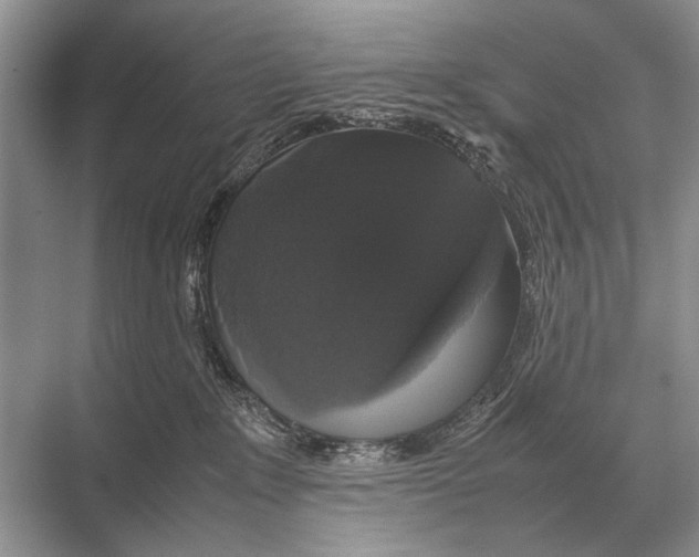 X0000067870235200605041815