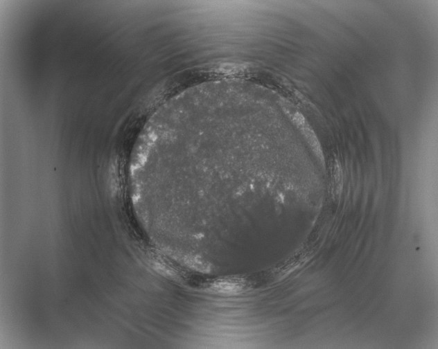 X0000067870236200605041815