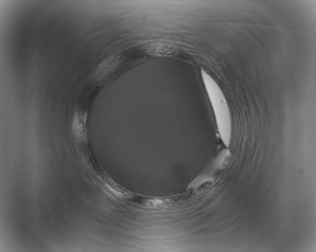 X0000067870239200605041815