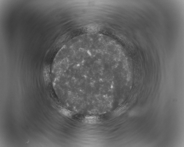 X0000067870240200605041815