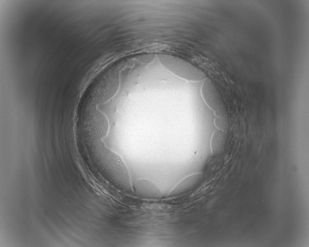 X0000067870242200605041814