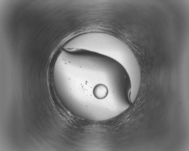 X0000067870244200605041814