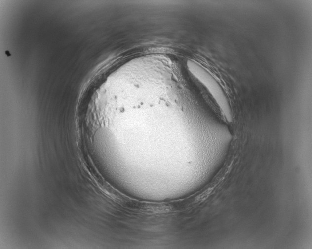 X0000067870245200605041814