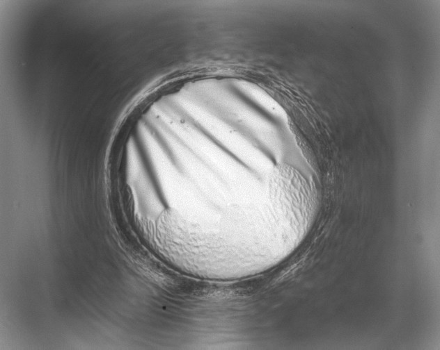 X0000067870246200605041814