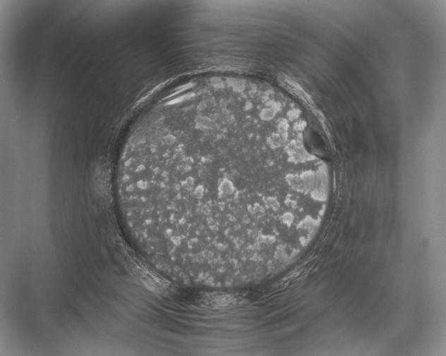 X0000067870249200605041814