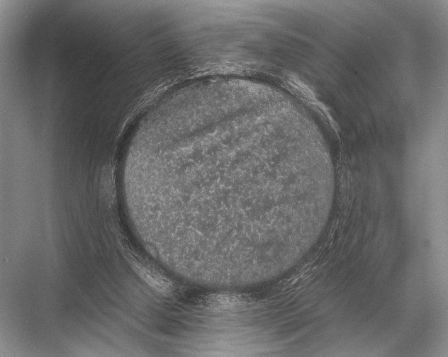 X0000067870250200605041814