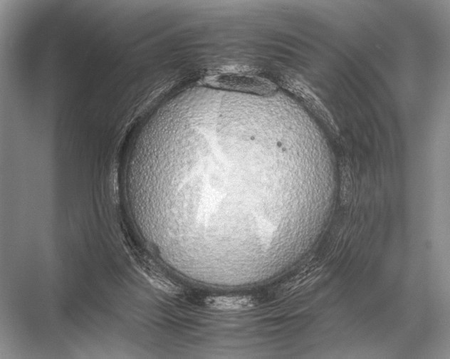 X0000067870251200605041814