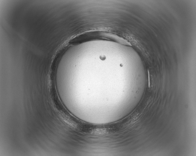 X0000067870252200605041814