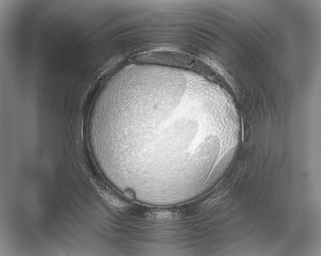 X0000067870253200605041814