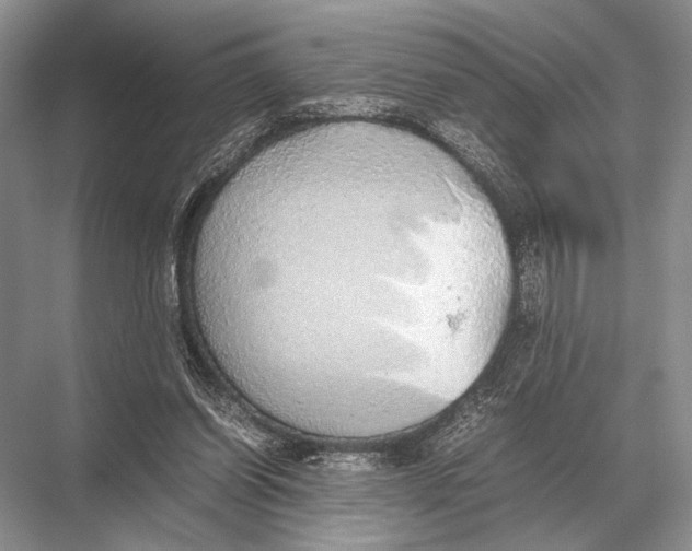 X0000067870254200605041815