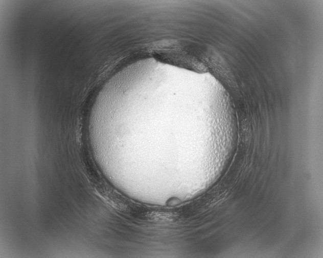 X0000067870255200605041815