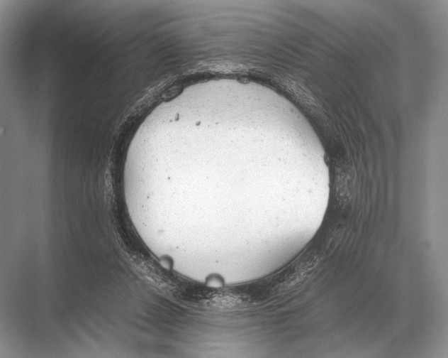 X0000067870256200605041815