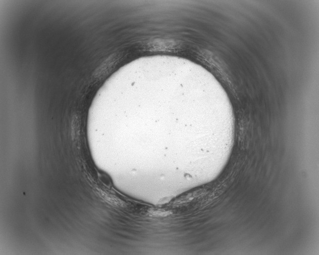 X0000067870257200605041815