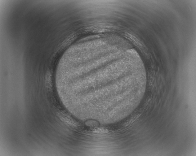 X0000067870258200605041815