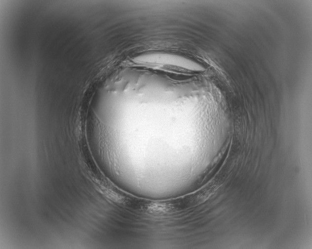 X0000067870261200605041815