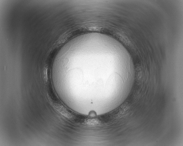 X0000067870262200605041815