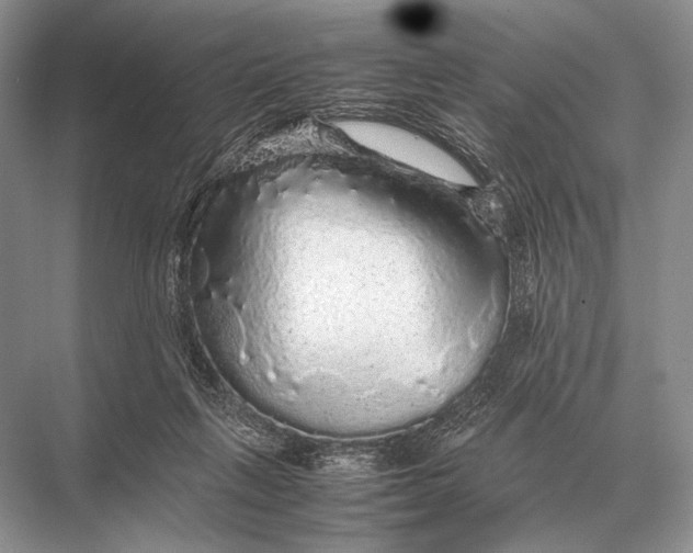 X0000067870263200605041815