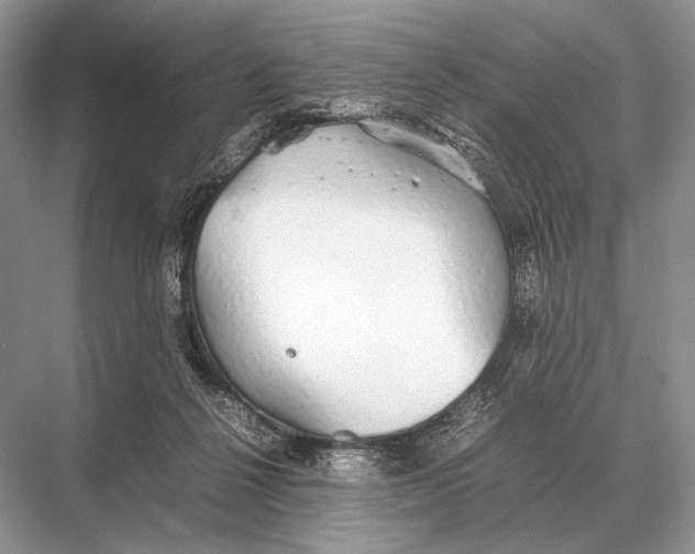 X0000067870264200605041815