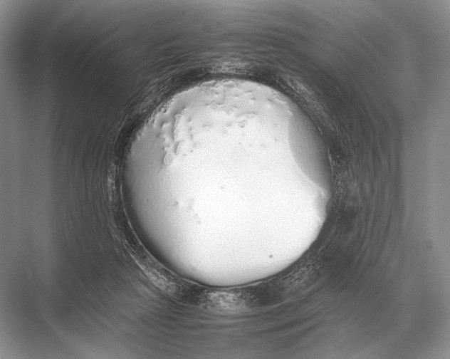 X0000067870265200605041815