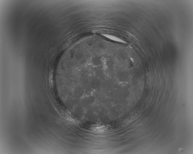 X0000067870267200605041815