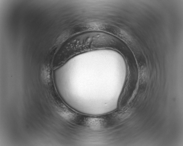 X0000067870268200605041815