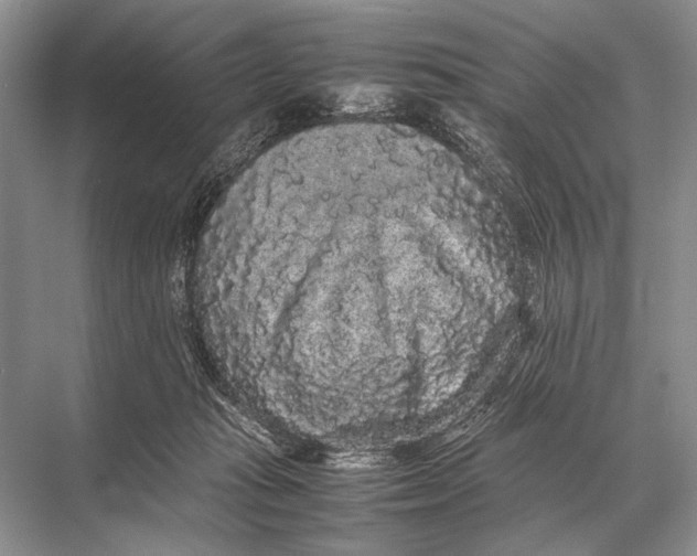 X0000067870269200605041815