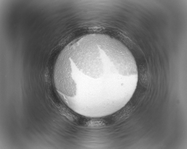 X0000067870270200605041815