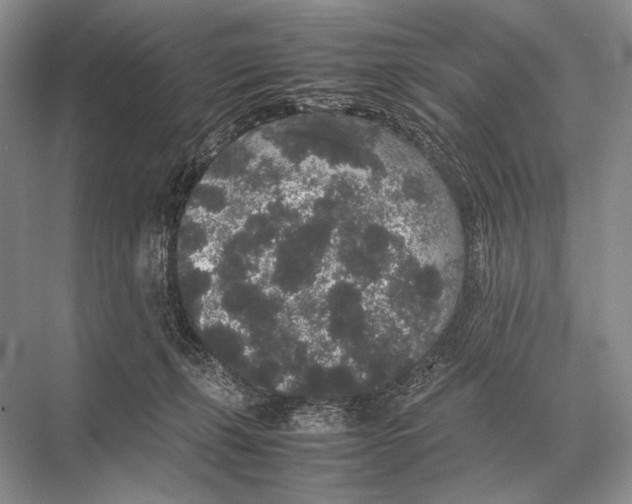 X0000067870271200605041815