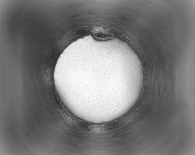 X0000067870273200605041815