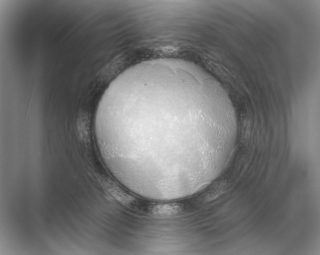 X0000067870274200605041815