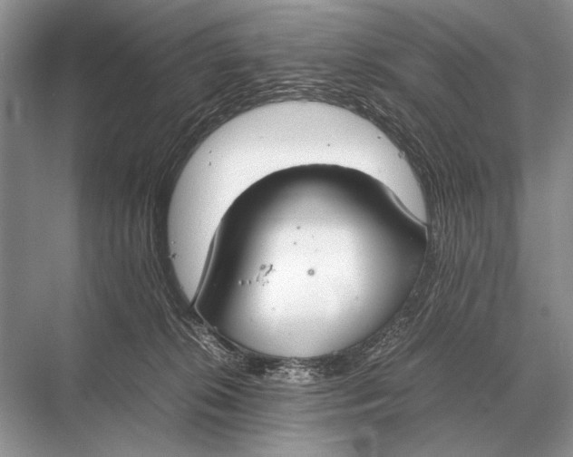 X0000067870276200605041815