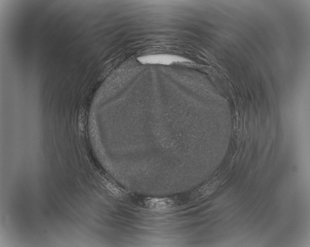 X0000067870277200605041815