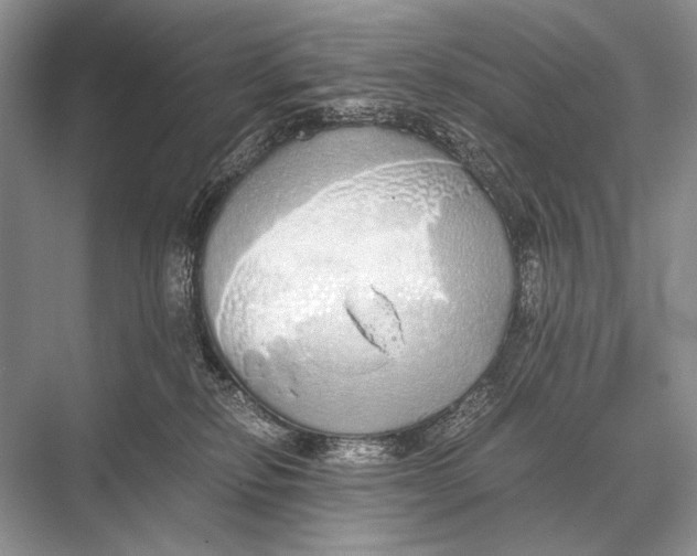 X0000067870278200605041815