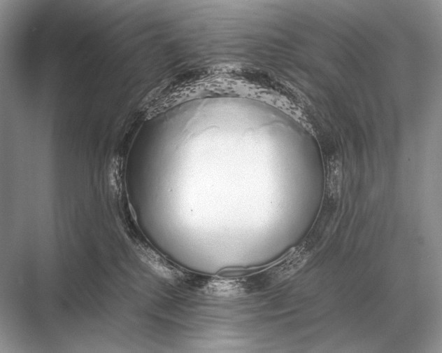 X0000067870280200605041815