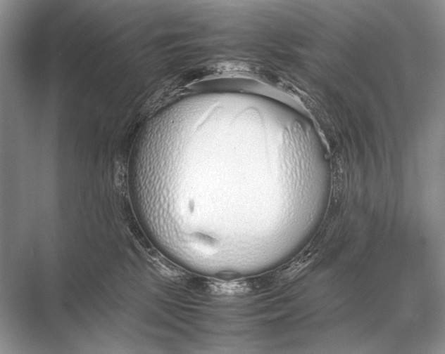 X0000067870281200605041815