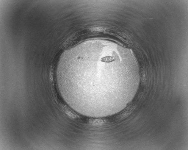 X0000067870282200605041815