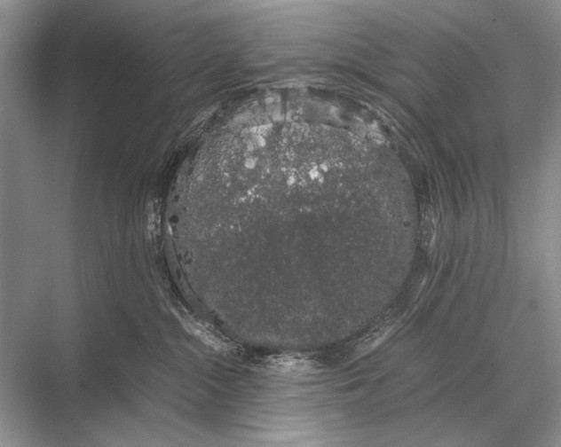 X0000067870284200605041815