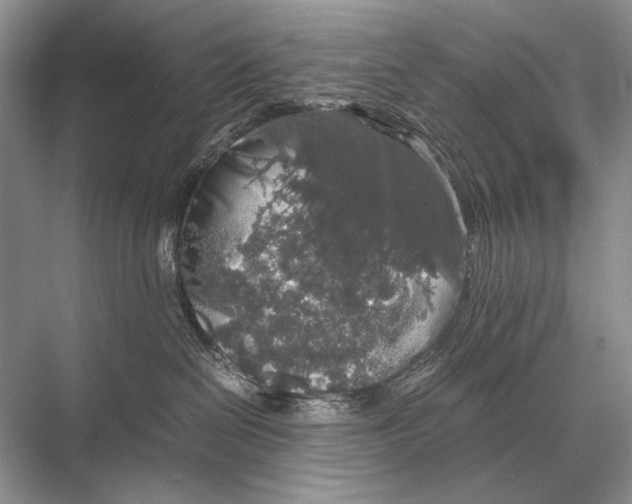 X0000067870286200605041815