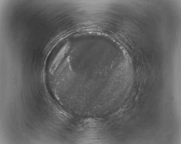 X0000067870290200605041814