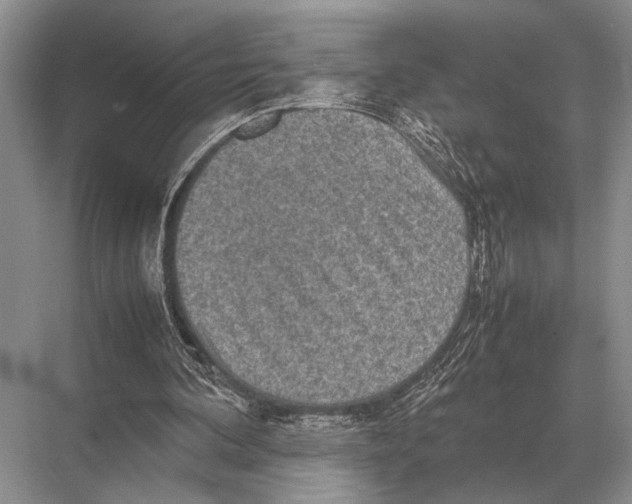 X0000067870292200605041814