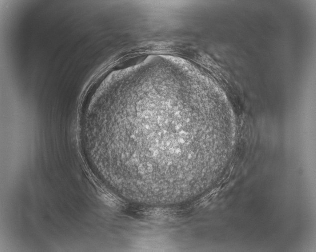 X0000067870293200605041814