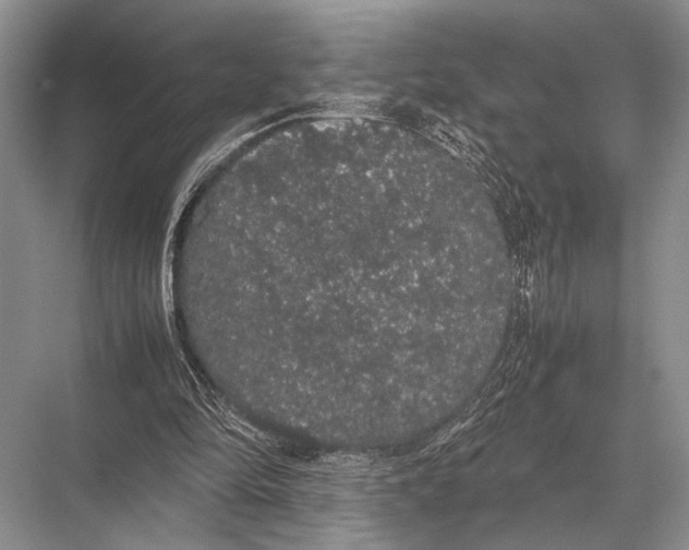 X0000067870294200605041814