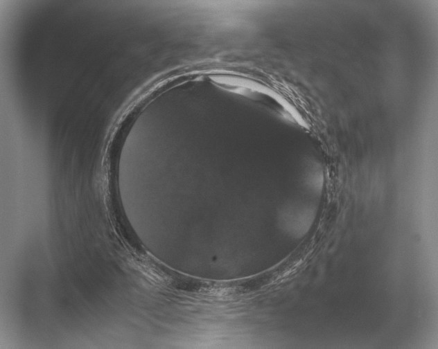 X0000067870295200605041814