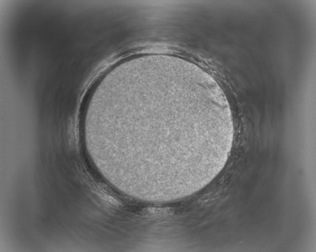 X0000067870296200605041814