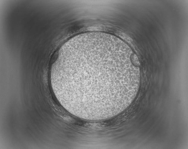 X0000067870297200605041814